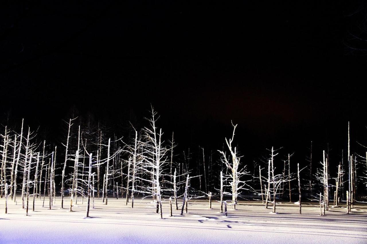Stay In Tokiwa Asahikawa Esterno foto